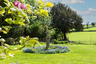 a garden with purple and purple flowers in the grass at Haverbrack Country House in Beetham