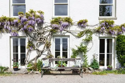 a bench in front of a white building with purple flowers at Haverbrack Country House in Beetham