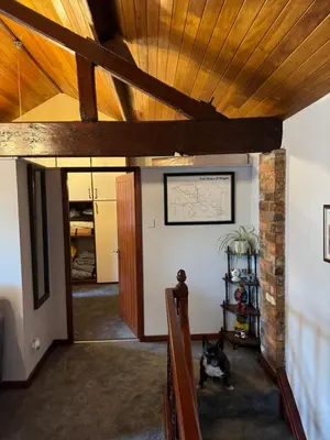 a dog sitting in a room with a wooden ceiling at Beech barn in Standish