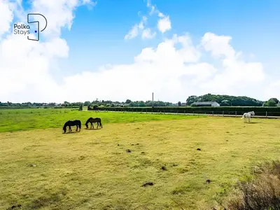three horses grazing in a field with a sign saying blue slow at No 1 PolkaStays Ivy Farm Willow Cottage in Plumpton