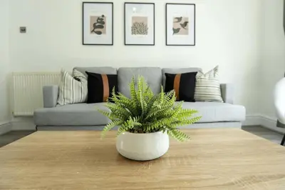 a plant sitting on a coffee table in front of a couch at 3 Bed House 9 mins walk to Anfield Sleeps 7 in Liverpool