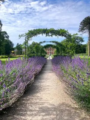 a path through a field of purple flowers with an arch at Palm House Lytham St Annes in Lytham St Annes