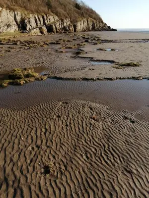 a sandy beach with ripples in the sand at Field Edge Barn in Silverdale