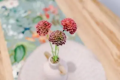 a white vase with flowers in it on a table at 2 Bed apartment, sleeps up to 5 in Blackpool