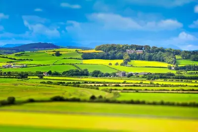 a view of green hills with trees and houses at Corner Beech House in Grange Over Sands