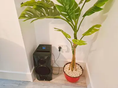 a plant in a red pot next to a speaker at 5 star Luxury Home by Liverpool Football Stadium in Liverpool