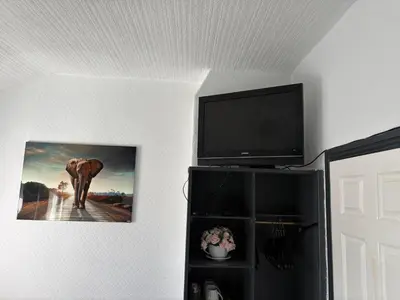 a room with a tv and a picture of an elephant at The Lynbar Hotel in Blackpool