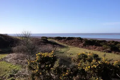 a field with yellow flowers and the ocean in the background at Historic 1600’s The Grocer’s Cottage in Heysham