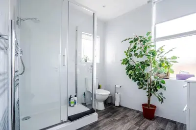 a bathroom with a toilet and a potted plant at Santiago 3 in Southport