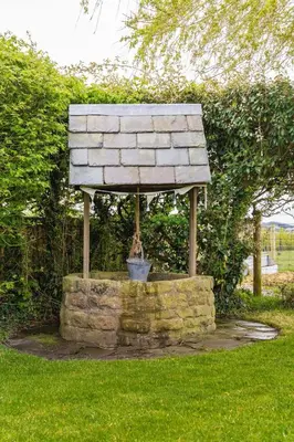 a bird sitting in a bird bath in the grass at The Lodge at Greenbank Farm