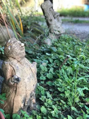 a statue of a teddy bear in a garden at Fitzys Apartment Wellness Retreat