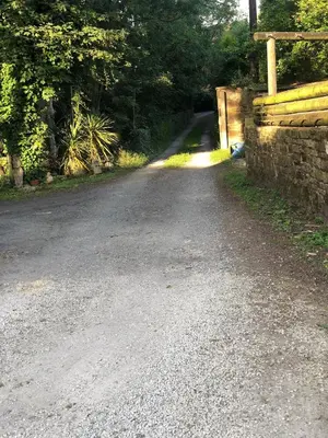 an empty road with a stone wall and trees at Fitzys Apartment Wellness Retreat