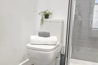 a bathroom with a toilet with a plant on top of it at Aurum House Luxury Apartments in Blackpool