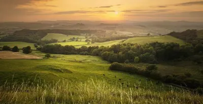a green hillside with animals grazing in the grass at Belgrave Chapel - Luxurious Apartment in Darwen