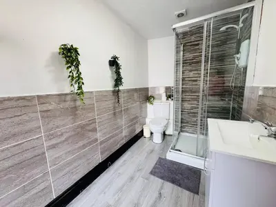 a bathroom with a toilet and a shower and a sink at Pembroke Place Private Room 3 in Liverpool