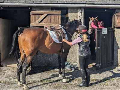 a young girl is petting a horse in a stable at The Dairy, Yealand Redmayne in a rural setting, bring your dogs and horse in Beetham
