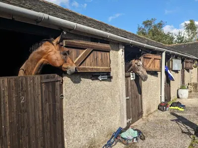 two horses are sticking their heads out of a barn at Corner Cottage, Yealand Redmayne, ideal family holiday, meet the resident animals in Beetham
