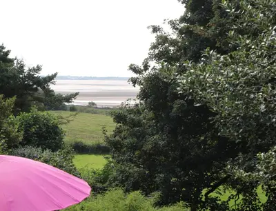 a pink umbrella next to a tree and a beach at The Rookery Sandside - Luxury Coastal Home South Lake District and Beaches