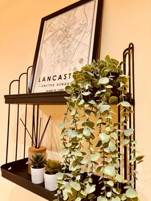 a shelf with a bunch of plants and a picture at 8 Parker Street in Lancaster