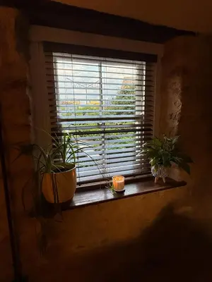 a window with two plants sitting on a window sill at The Snug- A beautiful and characterful property connected to a historic Georgian Manor House in Overton