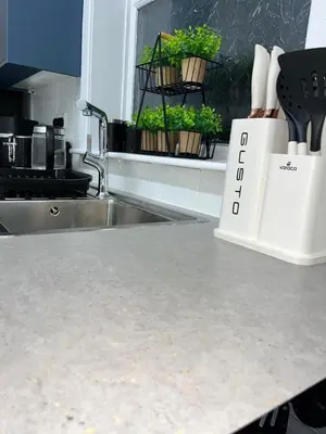 a kitchen counter with a stainless steel sink and plants at KD Homes in Horwich