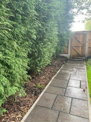 a stone walkway in a garden with a fence at Old Store Cottage, Up Holland in Upholland
