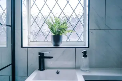 a bathroom sink with a potted plant on a window at Skipton House Business Travel Accommodation Parking Liverpool in Liverpool