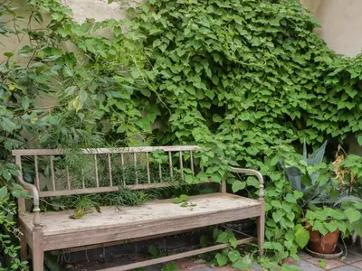 a wooden bench sitting in front of a green wall at The Gameskeepers Cottage in Grange Over Sands