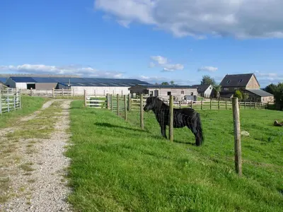 a black cow standing in a field behind a fence at Shepherds Hut - Uk50043 in Chipping