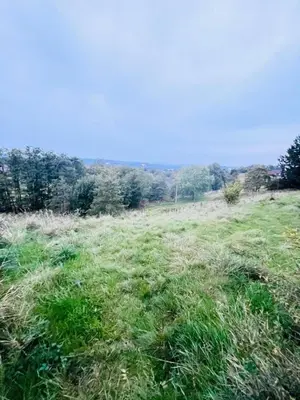 a field of tall grass with trees in the background at Two bedroom home in quite culdisac over looking hospital in Blackburn