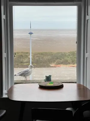 a bird standing on a table in front of a window at Pier View in Lytham St Annes