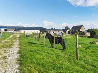 a black cow standing in a field behind a fence at Croft - Uk50042 in Clitheroe