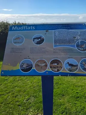 a sign in the grass with fish on it at Poppy Lodge LE 17 Ocean's Edge Park in Morecambe