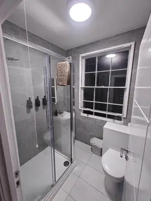 a bathroom with a shower and a toilet at Victoria's Bright Georgian Apartment in Liverpool
