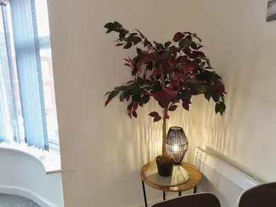 a potted plant sitting on a table in a room at 1 Double Bedroom Great Location - Holmfield Road in Blackpool