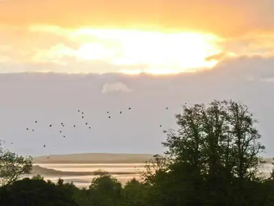 a flock of birds flying in the sky at sunset at Priory View in Ulverston