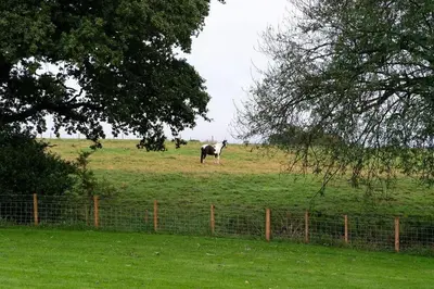 a horse standing in the middle of a field at Kidsnape Farm by Wigwam Holidays in Goosnargh