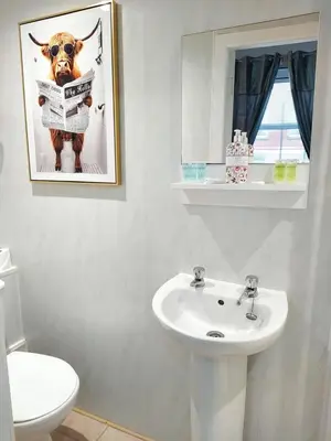 a bathroom with a sink and a cow reading a newspaper at The Dreamcatcher Hotel in Blackpool