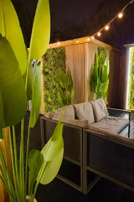 a living room with a couch and some plants at The Secret Garden Glamping Lancashire in Skelmersdale