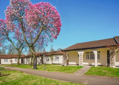 a tree with pink flowers in front of a house at Park Hall Resort And Spa in Chorley