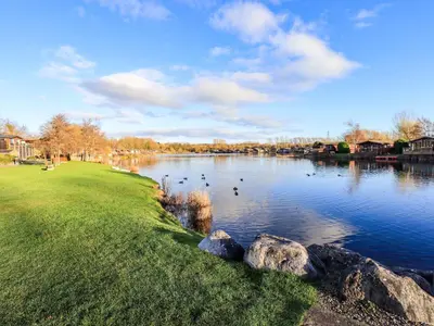 a river with ducks swimming in the water at Kingfisher Lodge - Arnside 14 in Carnforth