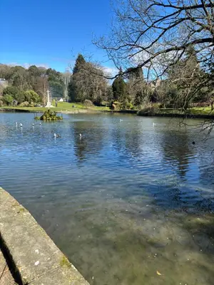 a lake with ducks swimming in the water at Grayrigge Croft Cottage in Grange Over Sands