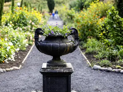 a black vase with flowers in a garden at The Gardeners Cottage at Lytham Hall in Lytham St Annes