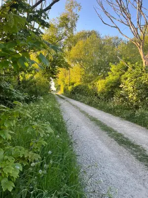 a dirt road with grass and trees on it at Mill House Farm Pods- Jackdaws Den in Pilling