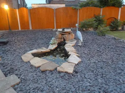 a bird standing next to a fountain in a yard at smithy lodge guest house in Leyland