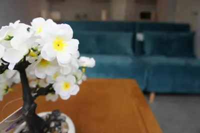 a vase of white flowers sitting on a table at Melbourne House Apartment Near Train Station! in Accrington