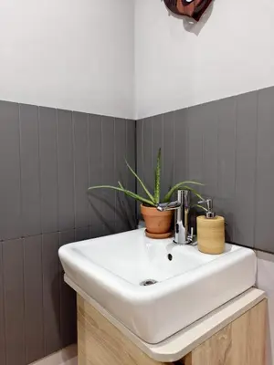 a bathroom sink with a plant on top of it at Hanani House in Liverpool