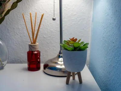 a vase with a plant in it sitting on a table at Large House in Central Ulverston Sleeps 10 - Pass the Keys in Ulverston