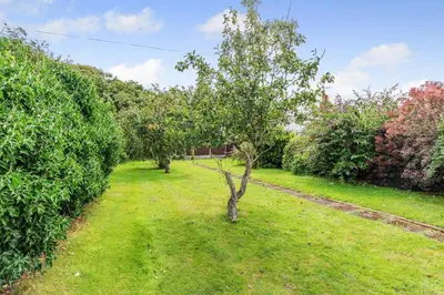 an apple orchard with two trees in the grass at 3 Bed in Southport oc-h32625 in Southport