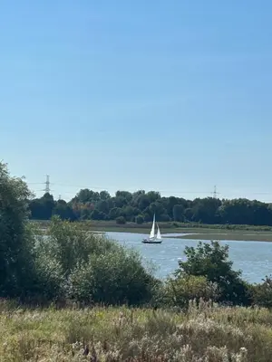 a sailboat on a river with trees in the background at Tranquil Lodge with river views in Hambleton